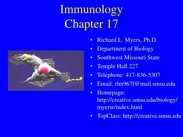 immunology chapter 17