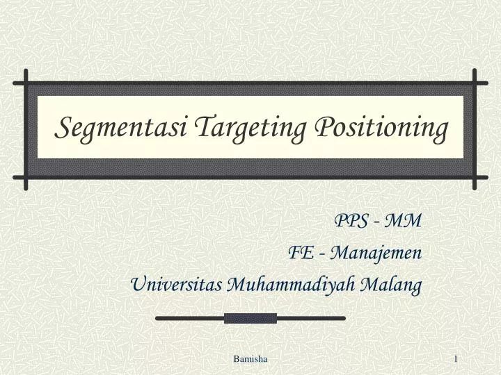 segmentasi targeting positioning
