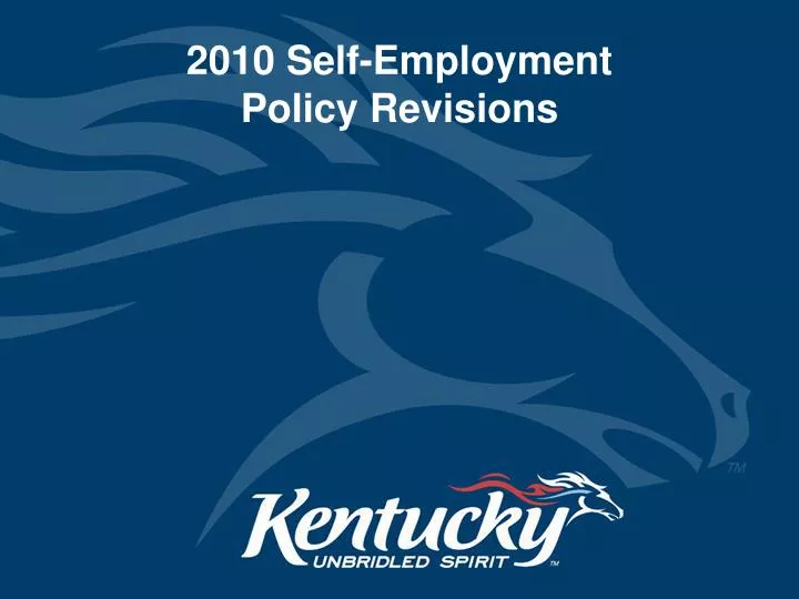 2010 self employment policy revisions
