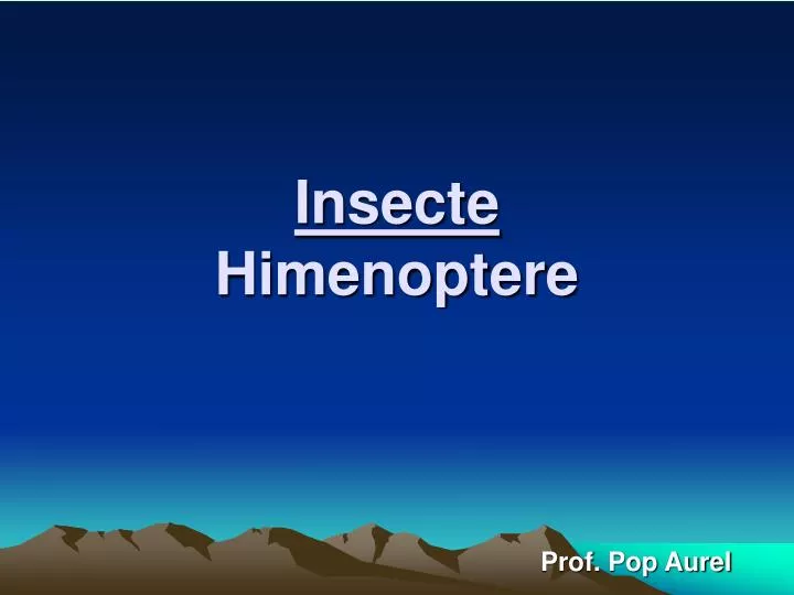 insecte himenoptere