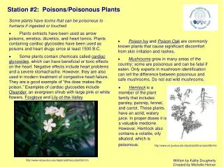 Station #2: Poisons/Poisonous Plants