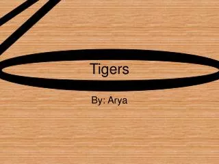 tigers