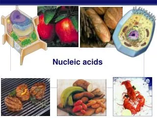 nucleic acids
