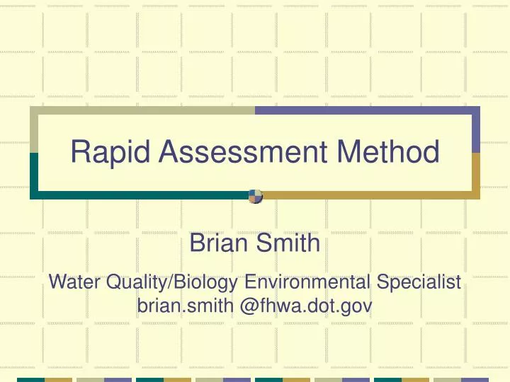 rapid assessment method