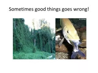 Sometimes good things goes wrong!