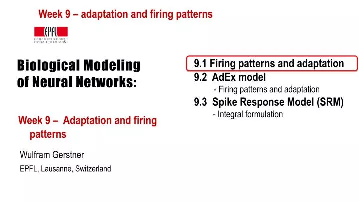 biological modeling of neural networks