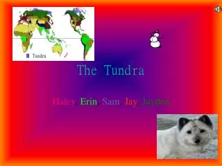 The Tundra