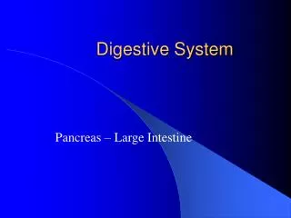 Digestive System