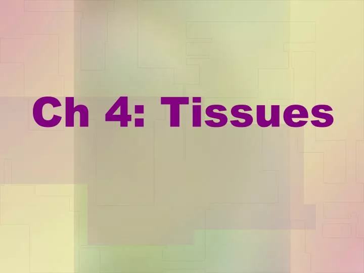 ch 4 tissues