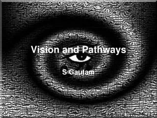 Vision and Pathways