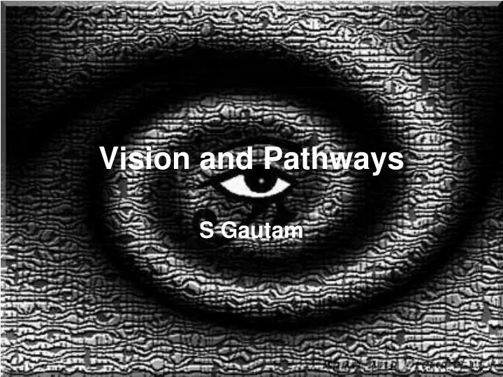 vision and pathways