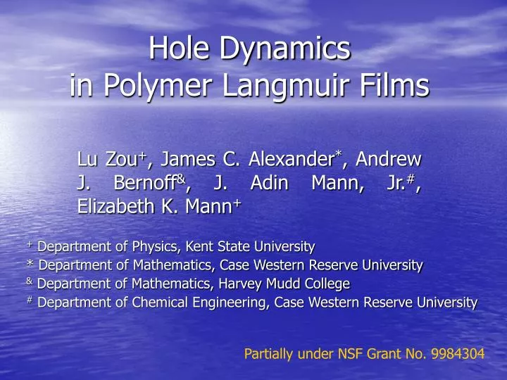 hole dynamics in polymer langmuir films