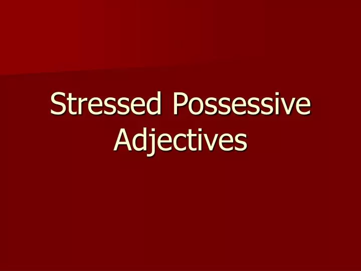 stressed possessive adjectives