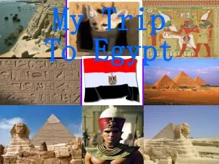 My Trip To Egypt
