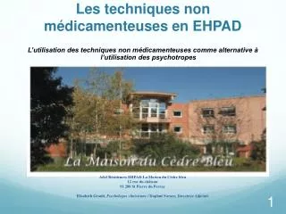 les techniques non m dicamenteuses en ehpad