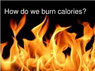 How do we burn calories?