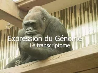 expression du g nome