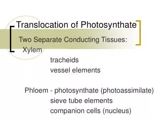 Translocation of Photosynthate