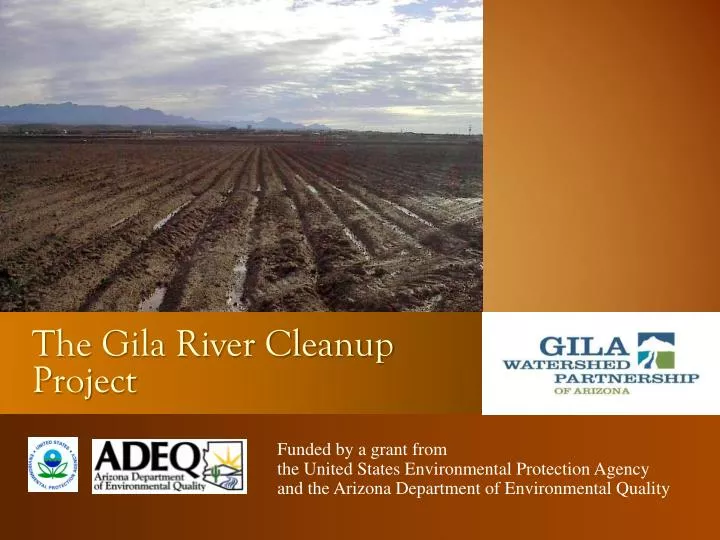 the gila river cleanup project