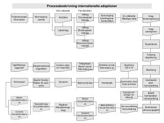 processbeskrivning internationella adoptioner