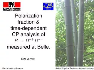 Polarization fraction &amp; time-dependent CP analysis of measured at Belle.