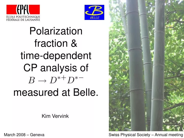 polarization fraction time dependent cp analysis of measured at belle