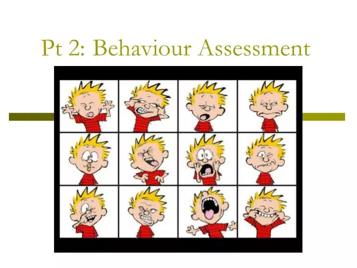 pt 2 behaviour assessment