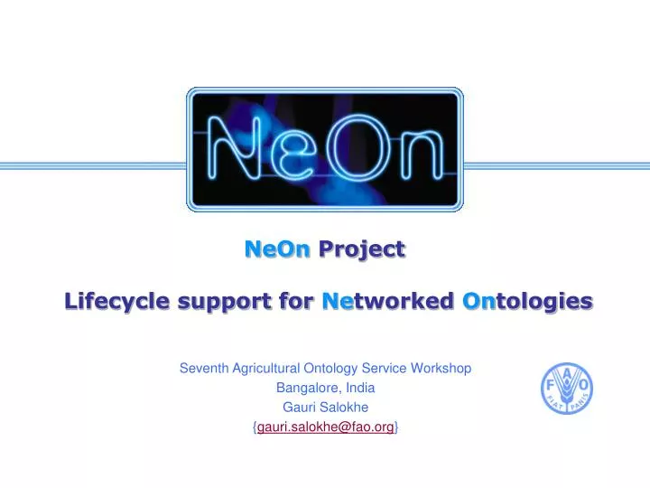 neon project lifecycle support for ne tworked on tologies