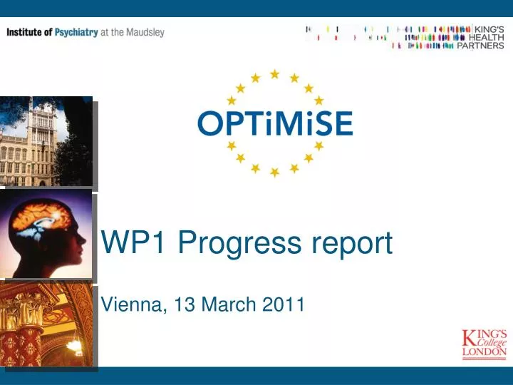 wp1 progress report vienna 13 march 2011