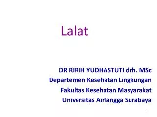 lalat