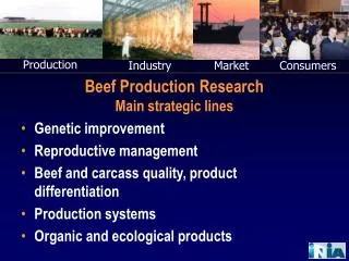 Beef Production Research Main strategic lines
