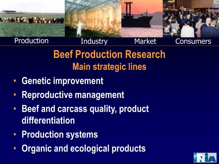 beef production research main strategic lines