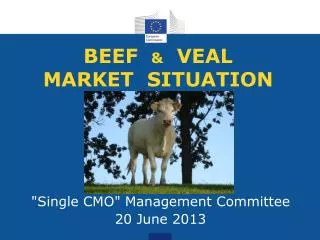 BEEF &amp; VEAL MARKET SITUATION