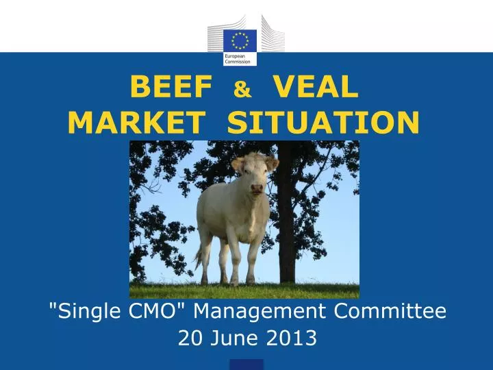 beef veal market situation