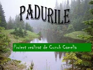 padurile