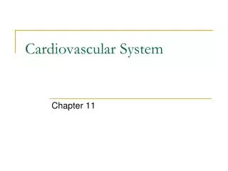 Cardiovascular System