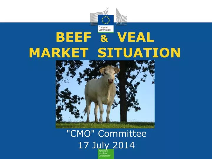 beef veal market situation
