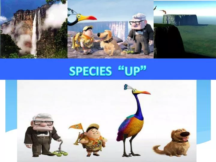 species up