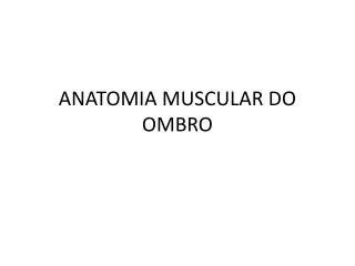 anatomia muscular do ombro