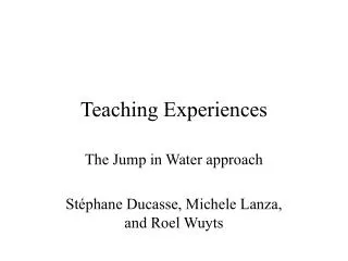 Teaching Experiences
