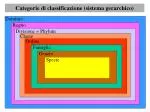 Categorie di classificazione (sistema gerarchico) - slide 1