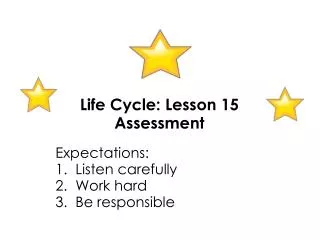 Life Cycle: Lesson 15 Assessment