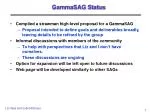 High-Level Proposal for Gamma-ray Astrophysics Community Engagement and Development - slide 1