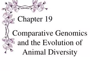 Comparative Genomics and the Evolution of Animal Diversity