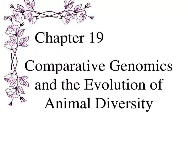 comparative genomics and the evolution of animal diversity
