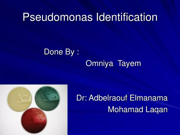 pseudomonas identification
