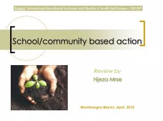 School/community based action