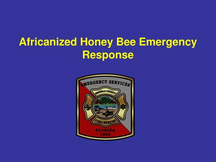 africanized honey bee emergency response