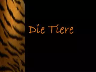 die tiere