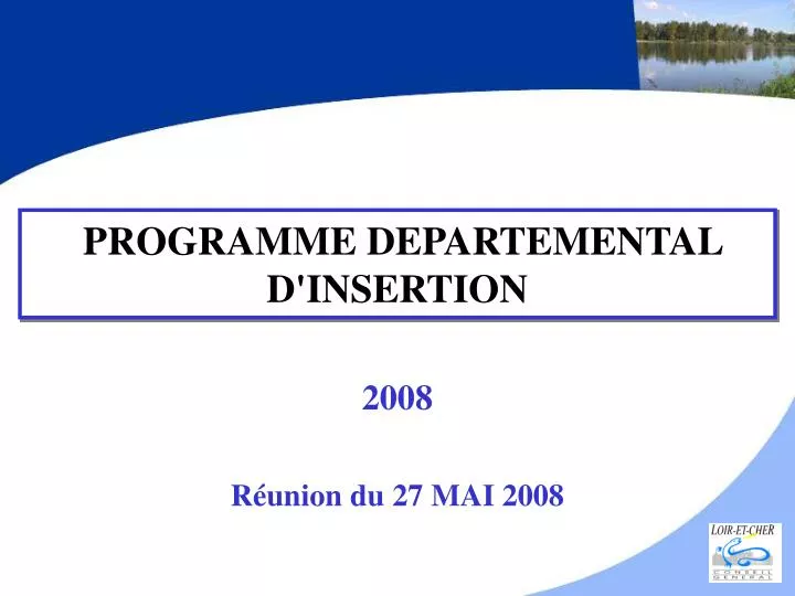 programme departemental d insertion
